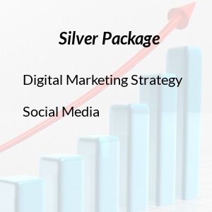 Agence Virtuelle Silver Package